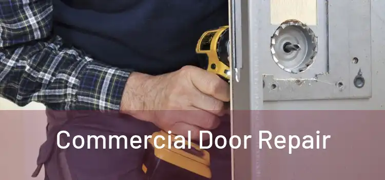 Commercial Door Repair